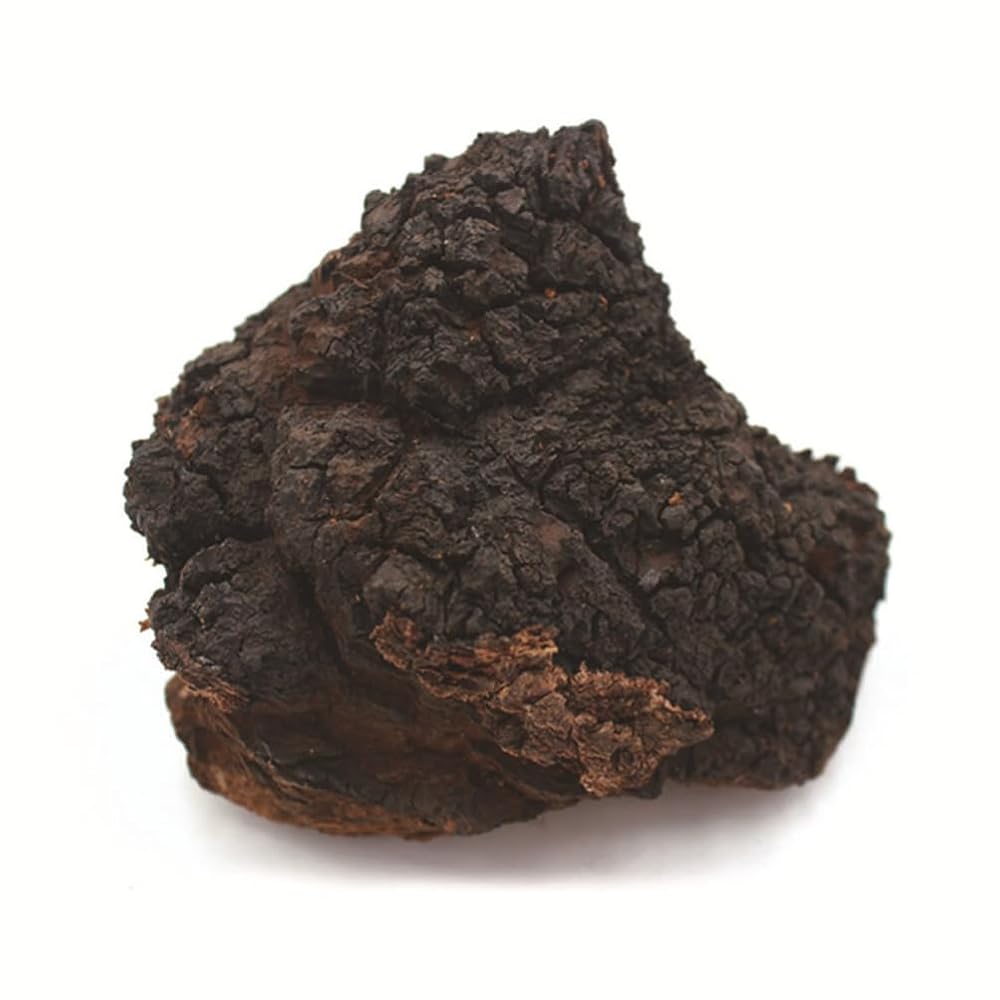 REUEHDS Chaga Mushroom Chunks - 1000g - image 2
