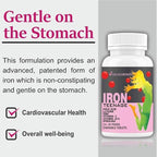Generic Iron Tablets with Vitamin B12 and Folic Acid - 60 Tablets - image 4