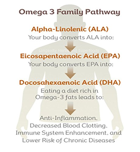 Longevity Herbs Marine Phytoplankton Powder Raw Omega-3 - 100g - image 3