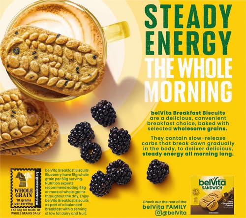 Belvita Blueberry Breakfast Biscuits - 8.8 oz - image 5
