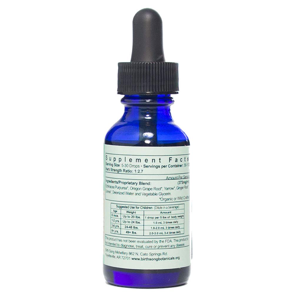 Birth Song Botanicals Children's Immune Boost Tincture - 1 Fl Oz - image 2