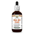 Hawaii Pharm Xia Ku Cao (Prunella vulgaris) Alcohol-Free Extract