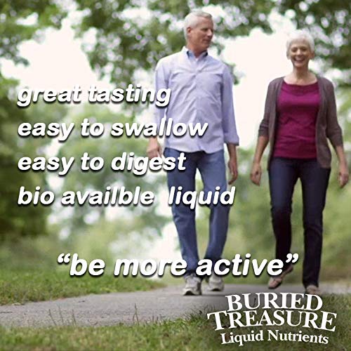 Buried Treasure Active 55 Plus Daily Vitamin Liquid - 4 Pack - image 3
