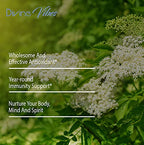 Divine Vibes Black Elderberry Capsules Max Strength - 60 Count - image 4