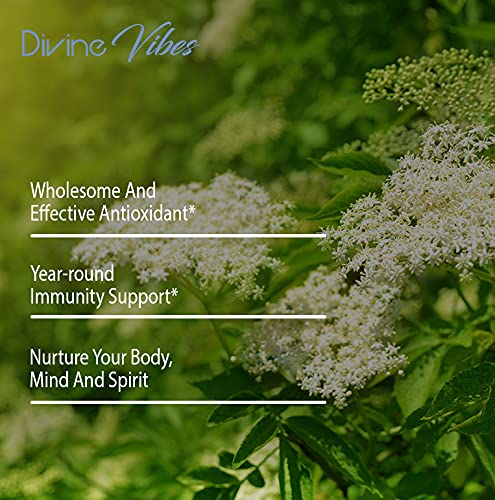 Divine Vibes Black Elderberry Capsules Max Strength - 60 Count - image 4