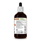 Hawaii Pharm Papaya Leaf (Carica Papaya) Alcohol-Free Extract