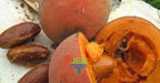 JEB FOODS African Bitter Kola Nuts