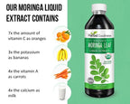 Herbal Papaya Organic Moringa Leaf Extract Liquid - 12 Fl Oz - image 8