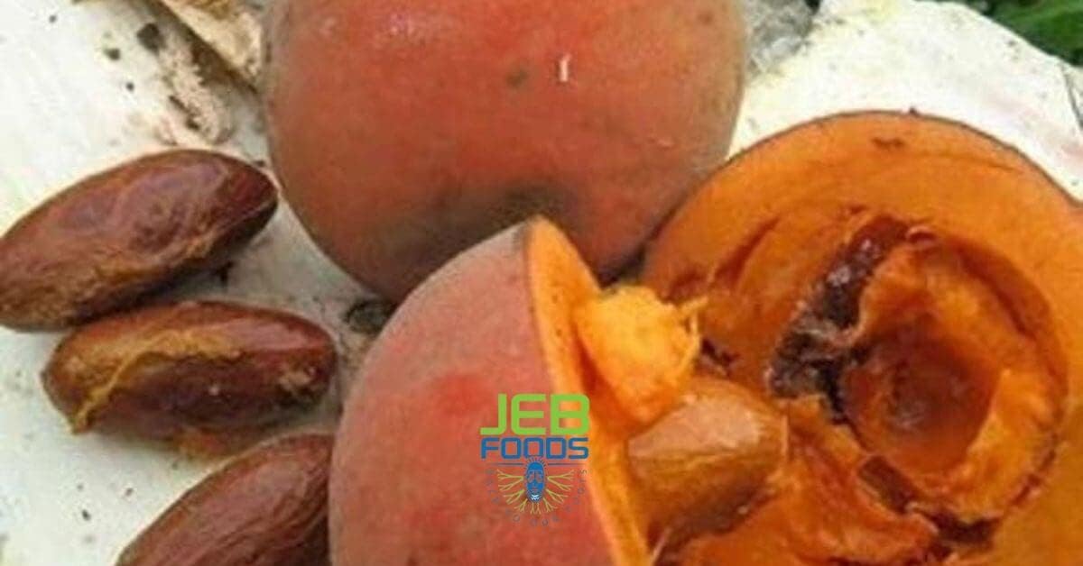 JEB FOODS African Bitter Kola Nuts