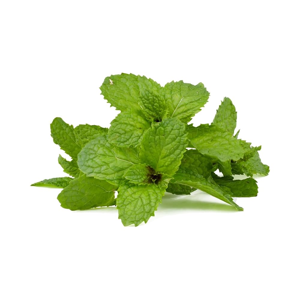 PURE ORIGINAL INGREDIENTS Peppermint Leaf - 365 Capsules - image 8
