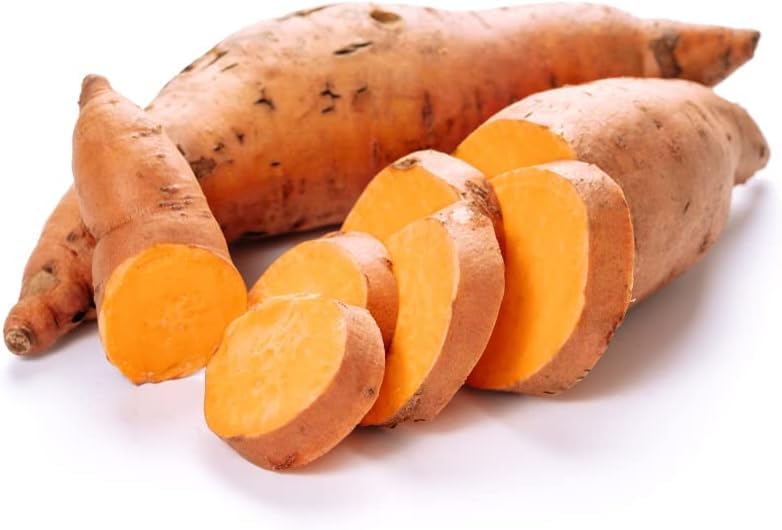CZ Grain Beauregard Sweet Potato Slips for Planting - 3 Slips