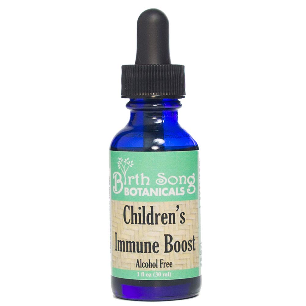 Birth Song Botanicals Children's Immune Boost Tincture - 1 Fl Oz