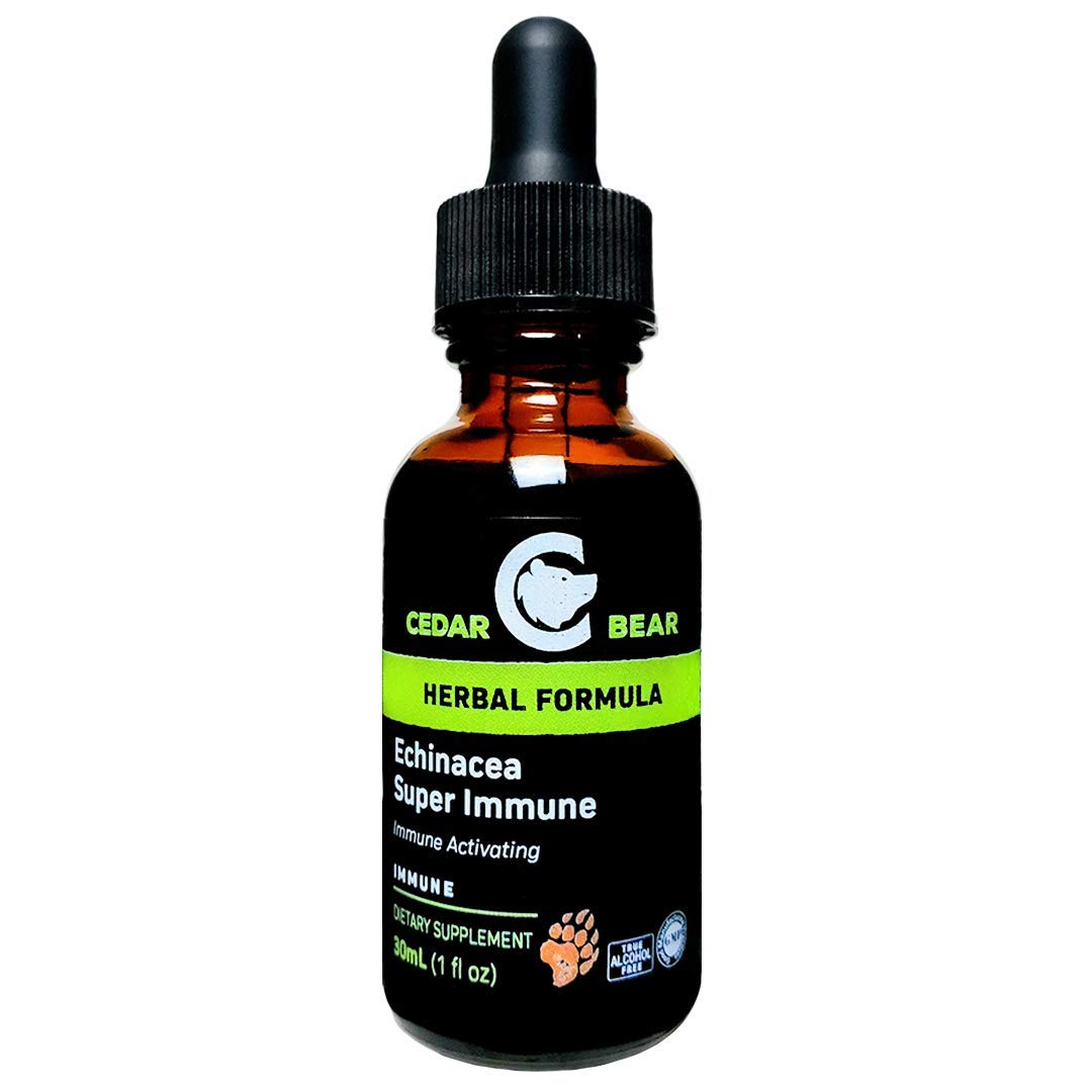 Cedar Bear Echinacea Liquid Herbal Supplement