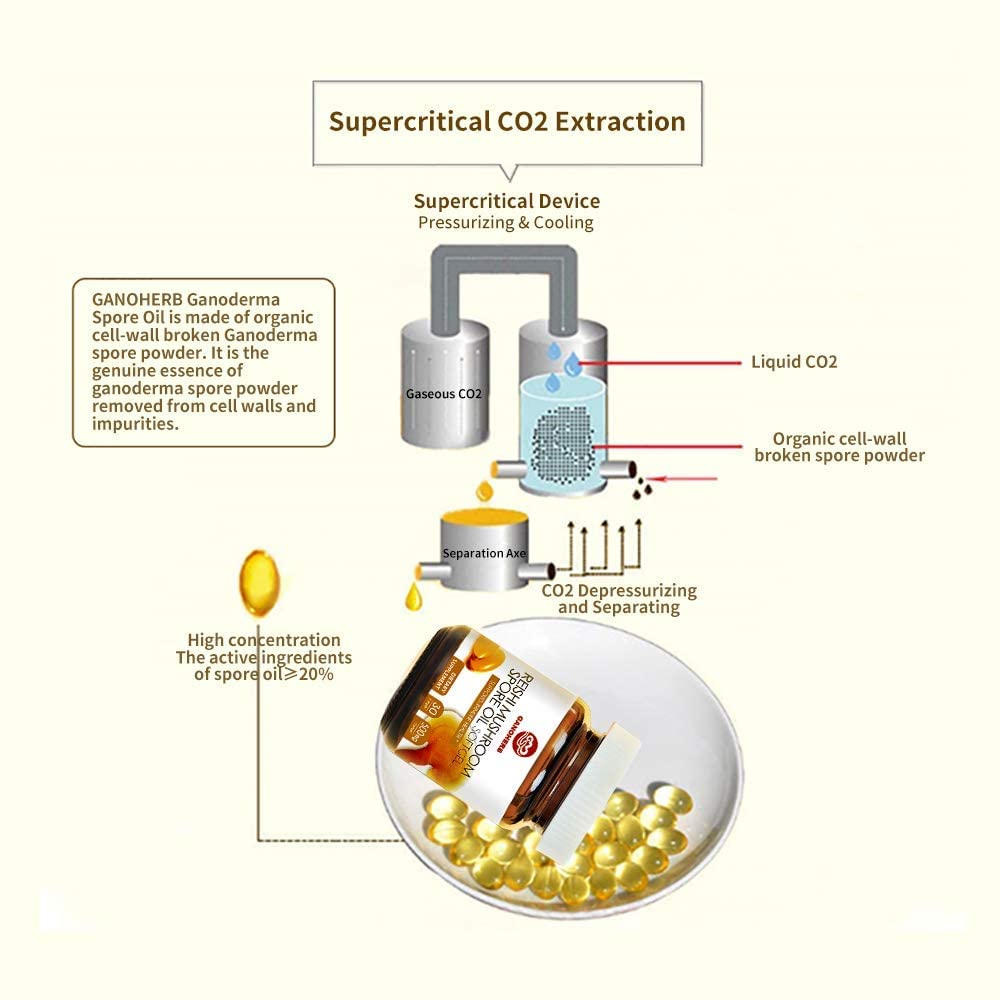 GANOHERB Reishi Mushroom Spore Oil Supplement - 30 Softgels - image 5