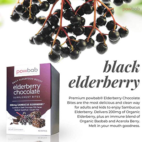 powbab Elderberry Chocolate Bites with Sambucus - 42 Count - image 2