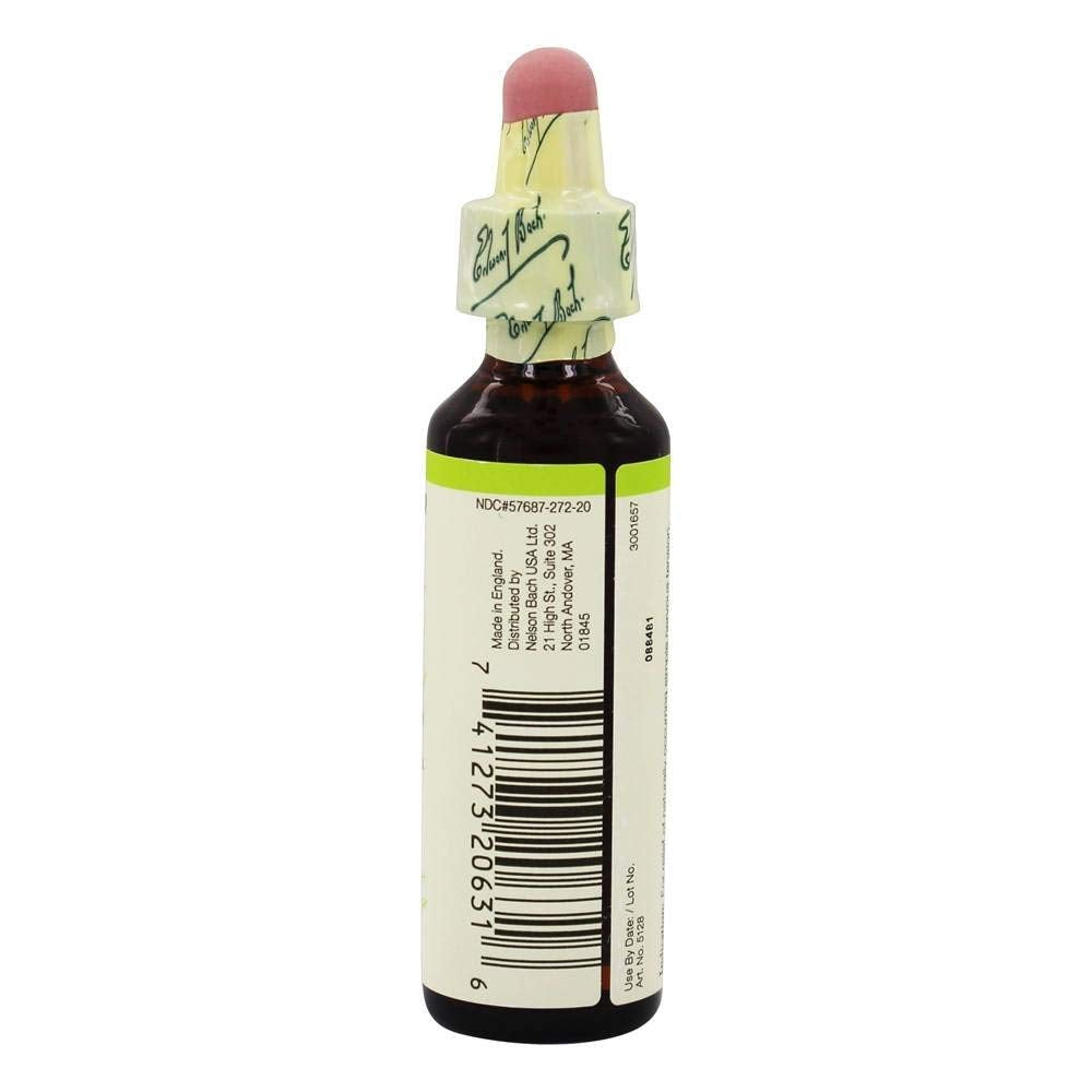 Bach Flower Olive Essence for Mental Energy - 20ml - image 3