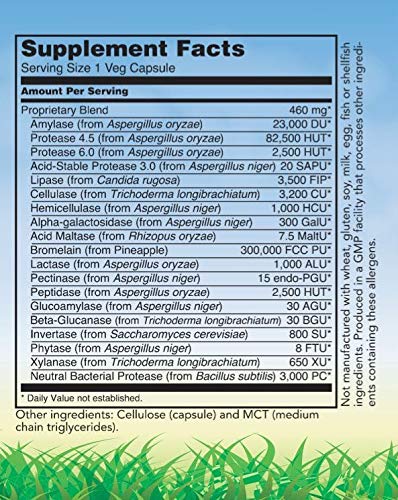 Alebris Health Digestive Health Multi-Enzyme - 60 Vegetarian Capsules - image 3