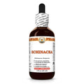 Hawaii Pharm Echinacea (Echinacea purpurea) Root Liquid Extract