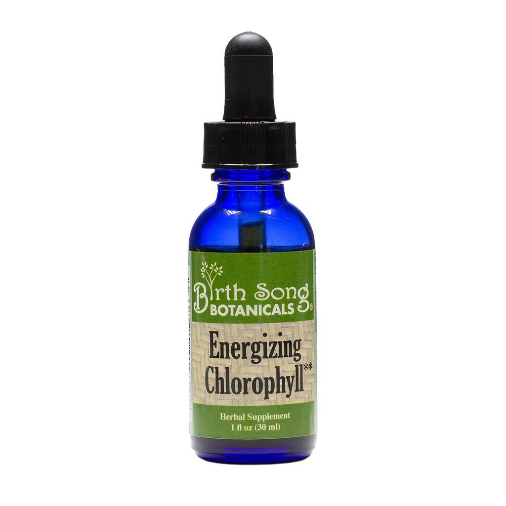 Birth Song Botanicals Energizing Chlorophyll Tincture - 1 Fl Oz