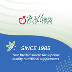 Wellness Resources Repair Plus Turmeric Curcumin with Quercetin - 100 Capsules - image 6