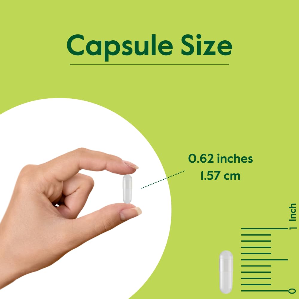 BESTVITE Huperzine A 200mcg Cognitive Support - 120 Vegetarian Capsules - image 5