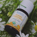 Amrita Aromatherapy Organic Roman Chamomile Essential Oil