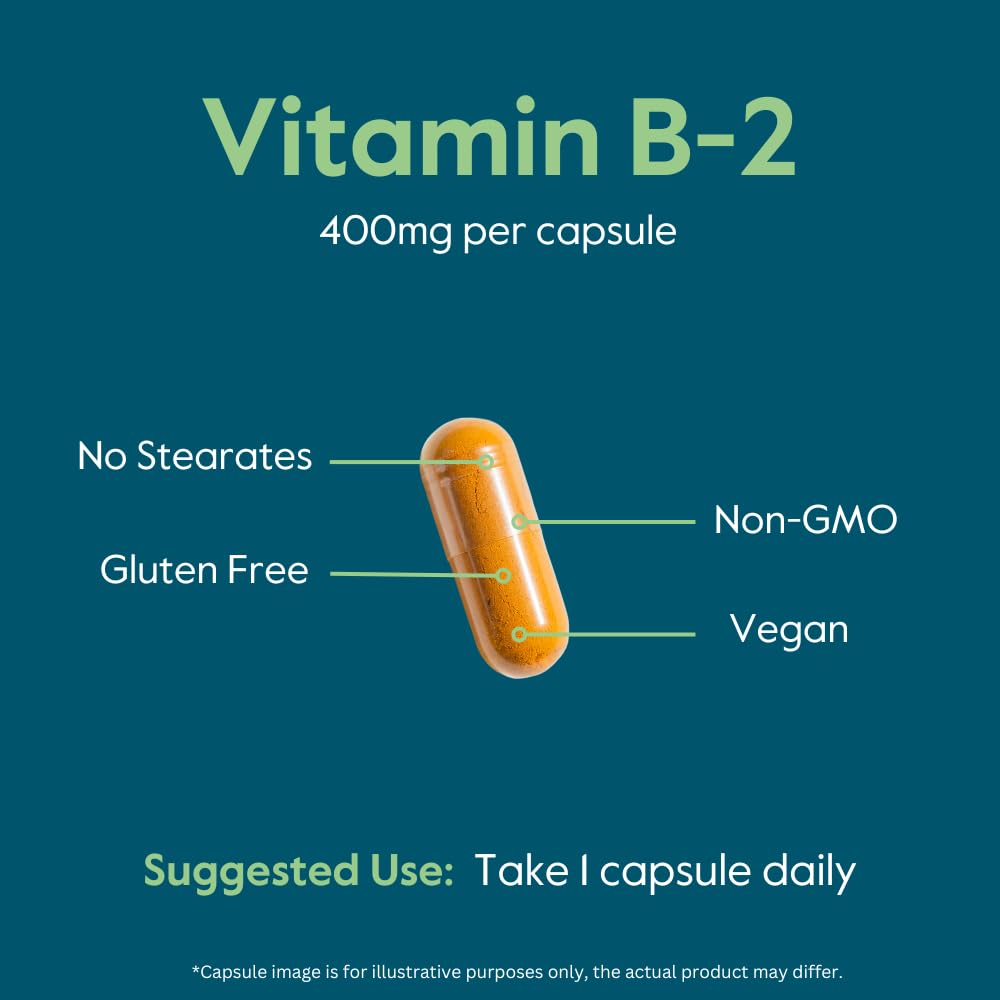 BESTVITE Vitamin B-2 Riboflavin 400mg - 120 Vegetarian Capsules - image 5