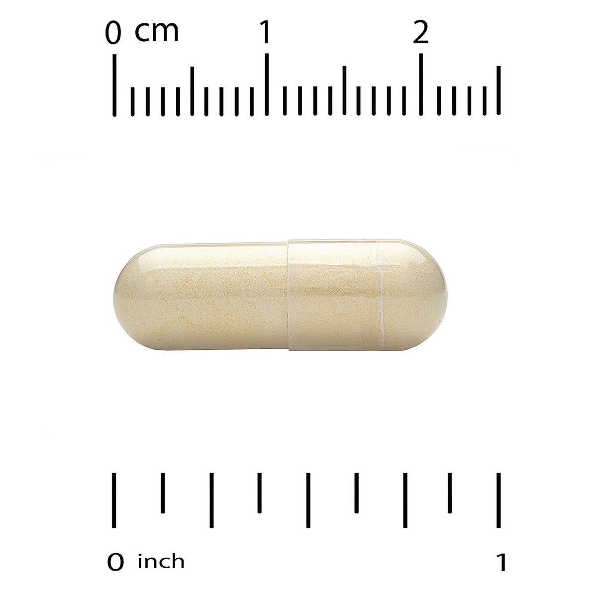 Vitacost L-Carnitine Fumarate 500 mg - 60 Capsules - image 3
