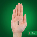 Piping Rock Cat's Claw Herb Supplement 1000mg - 200 Capsules - image 7