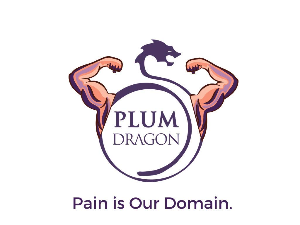 Plum Dragon Ho Family Dit Da Jow Herb Pack - 1 Gallon - image 4