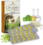 Physis & Ideas Oregano Essential Oil & Mastic Gum Softgels - 30 Count