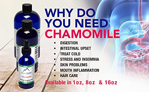 HoneyCombs Chamomile Alcohol-Free Liquid Extract - 1 Bottle - image 3