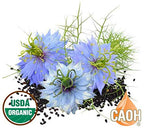 California Academy of Health Organic Black Seed Oil - 60 ml - image 4