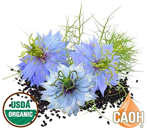 California Academy of Health Organic Black Seed Oil - 60 ml - image 4
