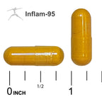 BIOSPEC NUTRITIONALS Inflam-95 - Ginger Root Extract 2