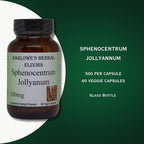 Barlowe's Herbal Elixirs Sphenocentrum Jollyanum Root Powder - 60 Capsules - image 3