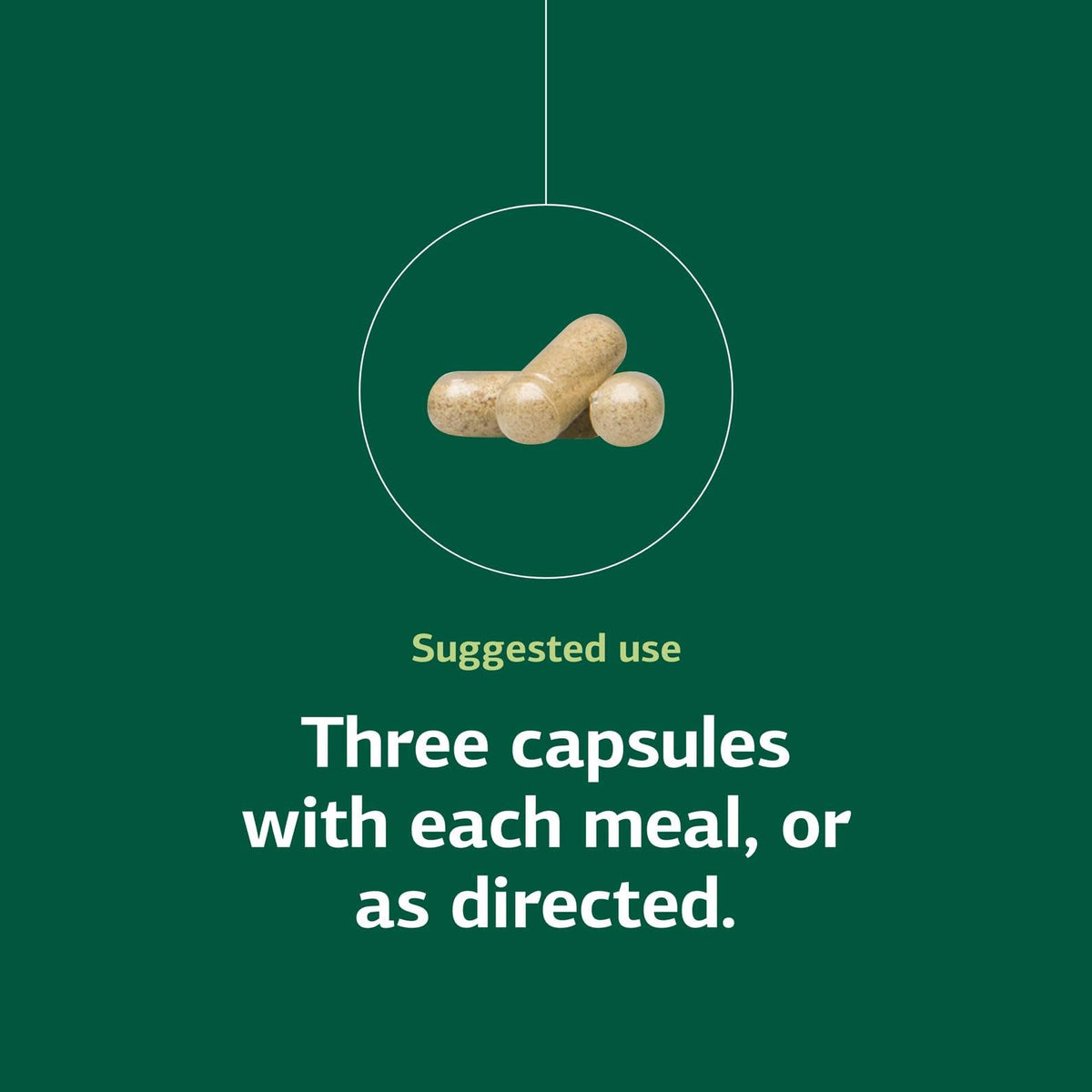 Standard Process Congaplex Immune & Thymus Support - 90 Capsules - image 5