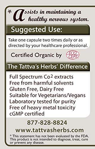 Tattva's Herbs Mucuna Pruriens Extract 500 mg - 240 Capsules - image 4