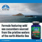Arctic Star Sea Cucumber with Vitamin D3 - 90 Capsules - image 8