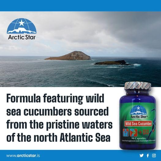 Arctic Star Sea Cucumber with Vitamin D3 - 90 Capsules - image 8