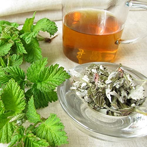 bodi : Goldenseal Leaf Cut Dried