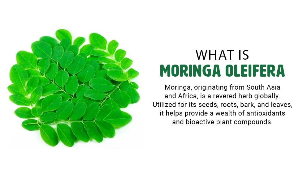 WAY 4 ORGANIC W4O Moringa Oleifera Leaf and Seed Powder (80:20) Ratio