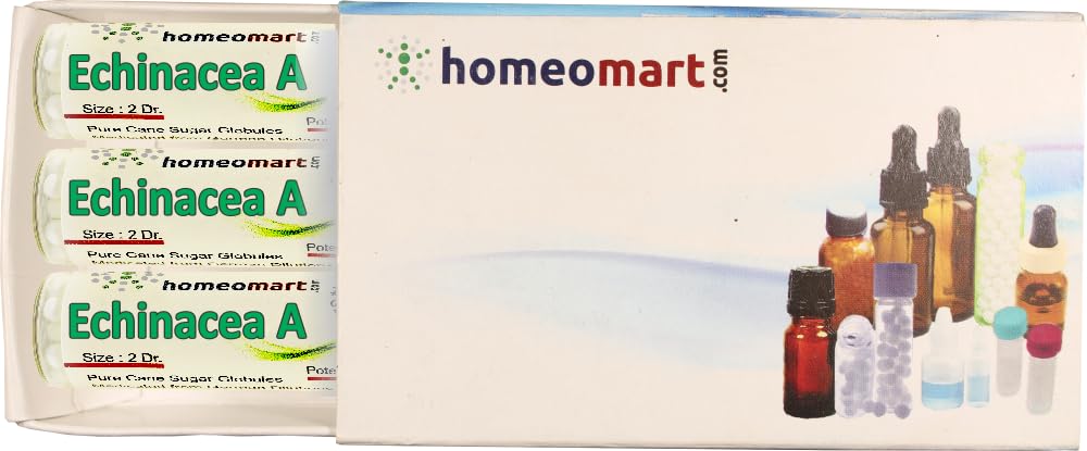 homeomart.com Echinacea Angustifolia Homeopathy Pills 30C - 3 Pack