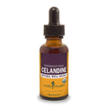 Herb Pharm Celandine Liquid Extract - 1 Fl Oz