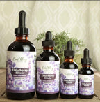 Earthley Elderberry Herbal Extract