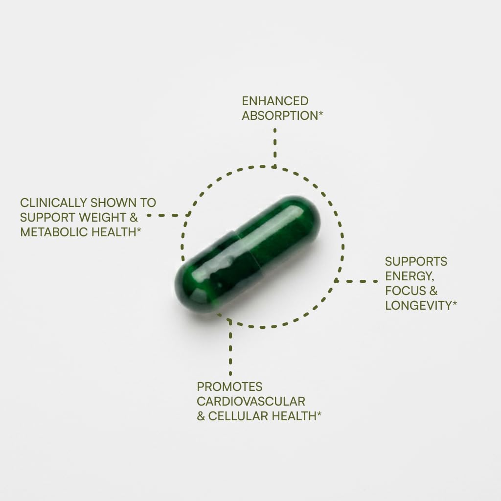 Purity Products Green Tea CR with Phytosome Technology - 60 Capsules - image 3