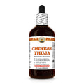 Hawaii Pharm Chinese Thuja (Platycladus orientalis) Seed Liquid