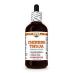 Hawaii Pharm Chinese Thuja (Platycladus orientalis) Seed Liquid