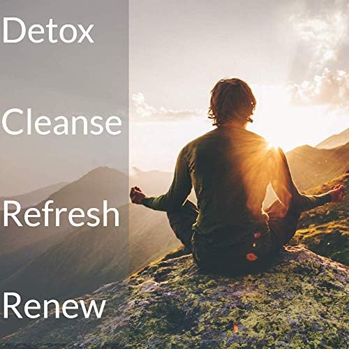 NOXIDE Detox Natural Body Drink with Turmeric & Milk Thistle - 2 Pack - image 3