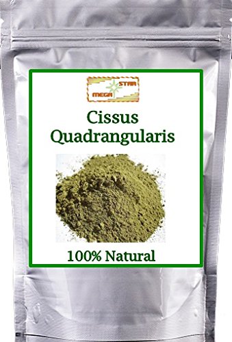 MEGASTARMART Mega Star Cissus Quadrangularis Powder - 100g